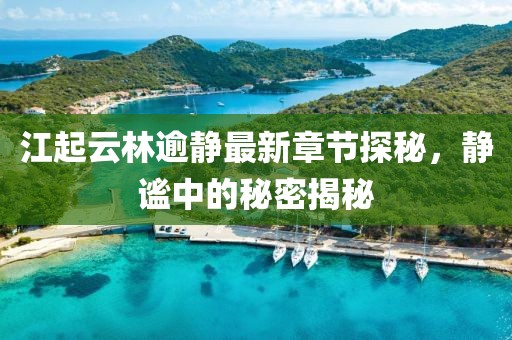 江起云林逾靜最新章節(jié)探秘，靜謐中的秘密揭秘