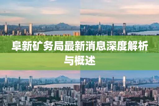 阜新礦務(wù)局最新消息深度解析與概述