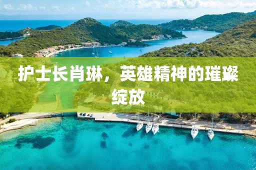護(hù)士長(zhǎng)肖琳，英雄精神的璀璨綻放