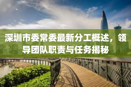 深圳市委常委最新分工概述，領(lǐng)導(dǎo)團隊職責(zé)與任務(wù)揭秘