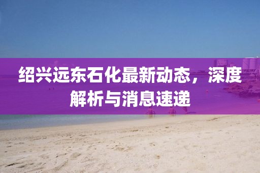 紹興遠(yuǎn)東石化最新動態(tài)，深度解析與消息速遞