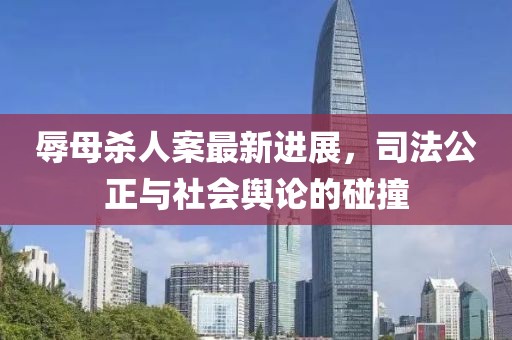 辱母殺人案最新進(jìn)展，司法公正與社會(huì)輿論的碰撞