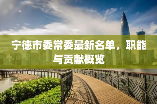 寧德市委常委最新名單，職能與貢獻概覽