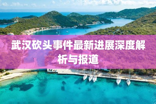 武漢砍頭事件最新進(jìn)展深度解析與報道