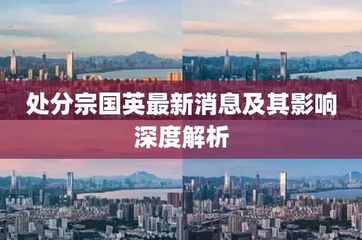 處分宗國英最新消息及其影響深度解析