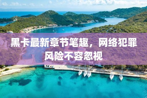 黑卡最新章節(jié)筆趣，網(wǎng)絡(luò)犯罪風(fēng)險不容忽視