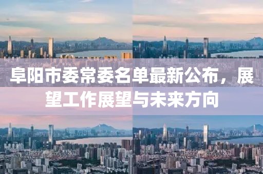阜陽市委常委名單最新公布，展望工作展望與未來方向