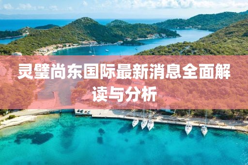 靈璧尚東國際最新消息全面解讀與分析