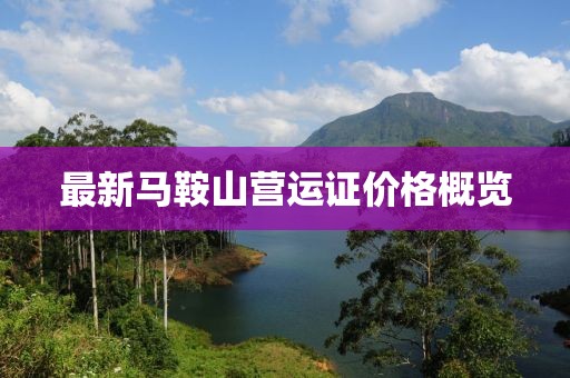 最新馬鞍山營運(yùn)證價(jià)格概覽