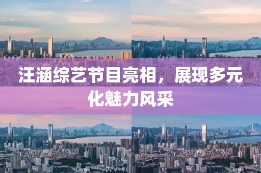 汪涵綜藝節(jié)目亮相，展現(xiàn)多元化魅力風(fēng)采