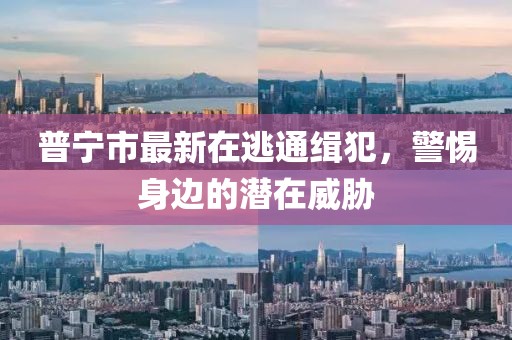 普寧市最新在逃通緝犯，警惕身邊的潛在威脅