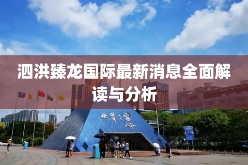 泗洪臻龍國際最新消息全面解讀與分析