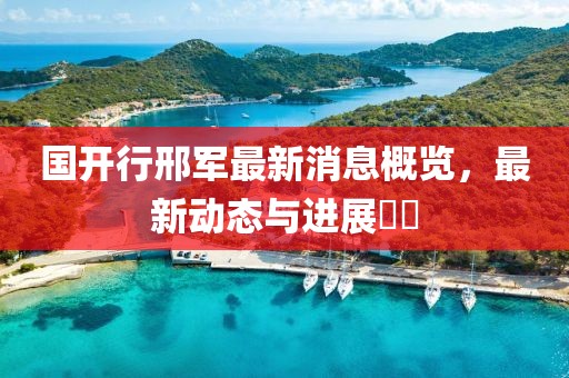 國(guó)開行邢軍最新消息概覽，最新動(dòng)態(tài)與進(jìn)展??