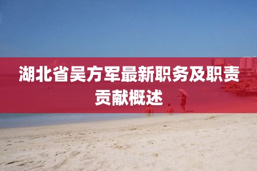 湖北省吳方軍最新職務(wù)及職責(zé)貢獻(xiàn)概述