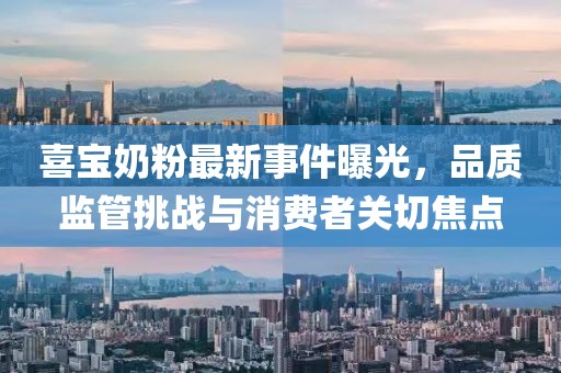 喜寶奶粉最新事件曝光，品質(zhì)監(jiān)管挑戰(zhàn)與消費者關(guān)切焦點