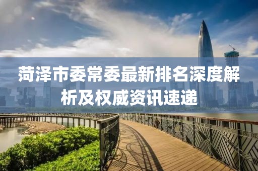 菏澤市委常委最新排名深度解析及權(quán)威資訊速遞