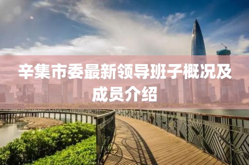 辛集市委最新領導班子概況及成員介紹