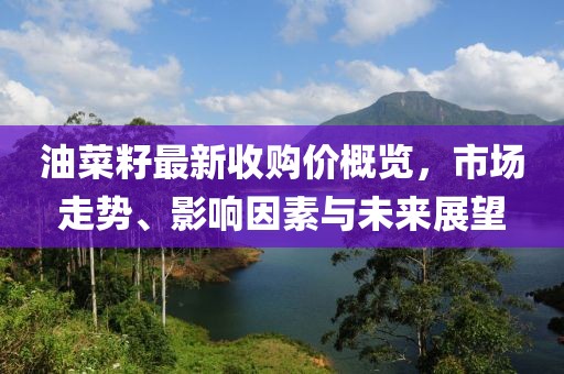千里清秋 第13頁