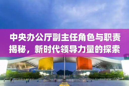 中央辦公廳副主任角色與職責揭秘，新時代領導力量的探索