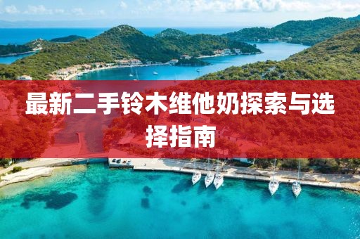 最新二手鈴木維他奶探索與選擇指南