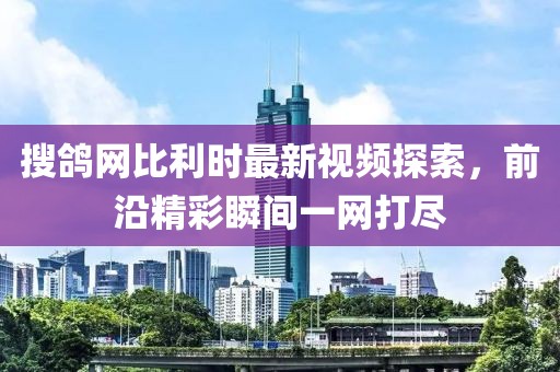 搜鴿網(wǎng)比利時最新視頻探索，前沿精彩瞬間一網(wǎng)打盡