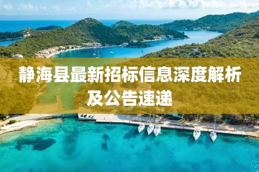 靜海縣最新招標(biāo)信息深度解析及公告速遞