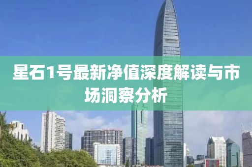 星石1號最新凈值深度解讀與市場洞察分析