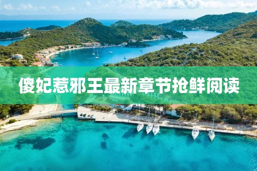 傻妃惹邪王最新章節(jié)搶鮮閱讀