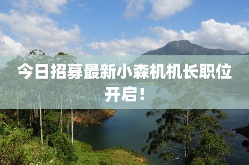 今日招募最新小森機(jī)機(jī)長職位開啟！
