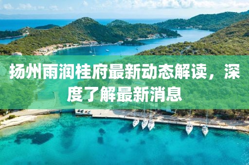 揚(yáng)州雨潤桂府最新動態(tài)解讀，深度了解最新消息