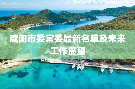 咸陽市委常委最新名單及未來工作展望