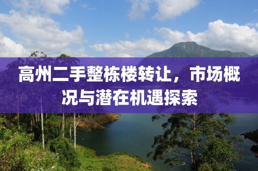 高州二手整棟樓轉(zhuǎn)讓，市場(chǎng)概況與潛在機(jī)遇探索