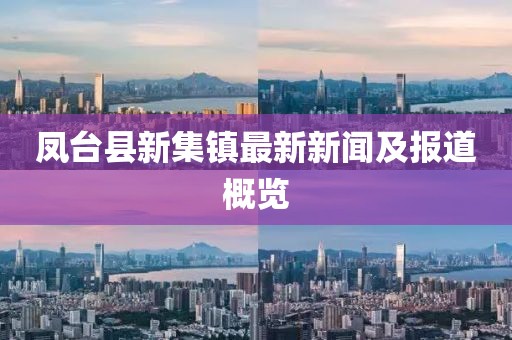 鳳臺縣新集鎮(zhèn)最新新聞及報道概覽