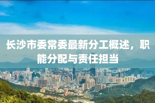 長沙市委常委最新分工概述，職能分配與責任擔當