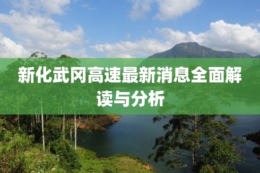 新化武岡高速最新消息全面解讀與分析
