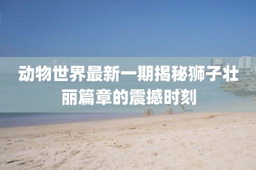 動(dòng)物世界最新一期揭秘獅子壯麗篇章的震撼時(shí)刻