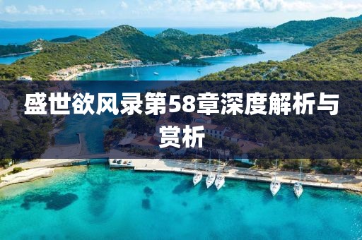 盛世欲風錄第58章深度解析與賞析