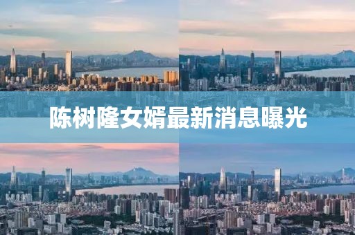 陳樹隆女婿最新消息曝光