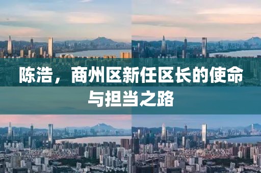 陳浩，商州區(qū)新任區(qū)長的使命與擔(dān)當之路
