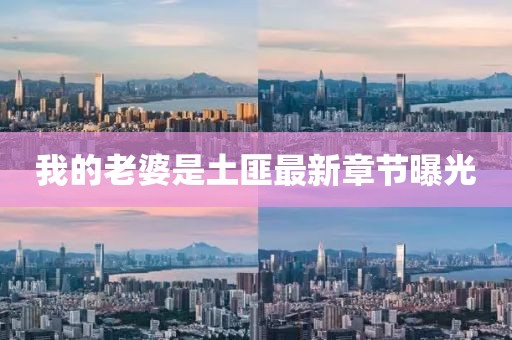 我的老婆是土匪最新章節(jié)曝光