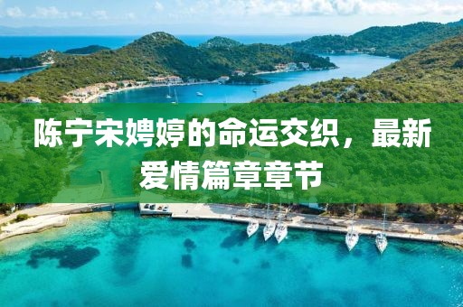 陳寧宋娉婷的命運(yùn)交織，最新愛(ài)情篇章章節(jié)