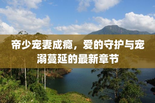 帝少寵妻成癮，愛的守護(hù)與寵溺蔓延的最新章節(jié)