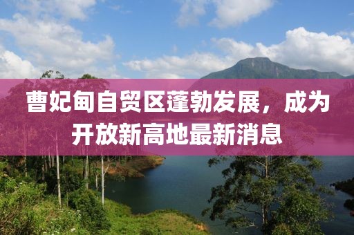 曹妃甸自貿(mào)區(qū)蓬勃發(fā)展，成為開放新高地最新消息
