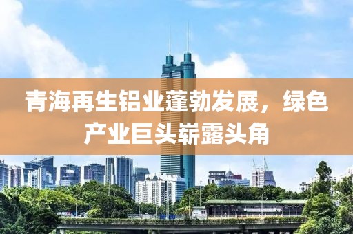 青海再生鋁業(yè)蓬勃發(fā)展，綠色產(chǎn)業(yè)巨頭嶄露頭角