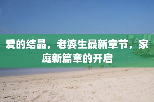 愛(ài)的結(jié)晶，老婆生最新章節(jié)，家庭新篇章的開(kāi)啟