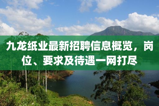 九龍紙業(yè)最新招聘信息概覽，崗位、要求及待遇一網(wǎng)打盡