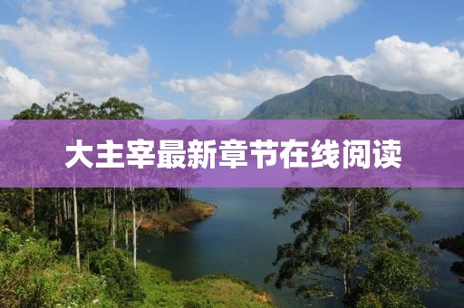 大主宰最新章節(jié)在線閱讀