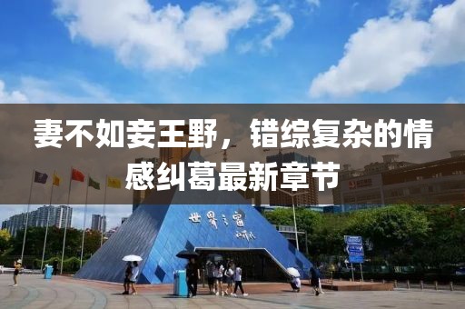 寰鸞 第11頁