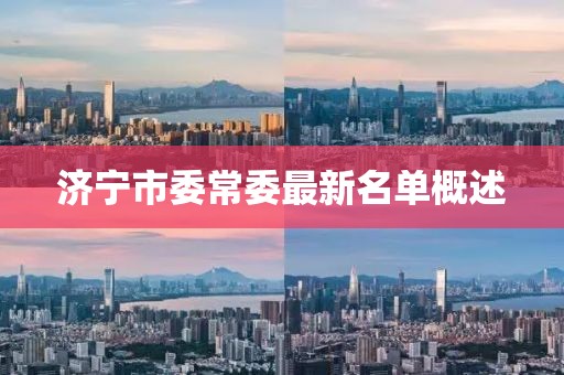 濟(jì)寧市委常委最新名單概述