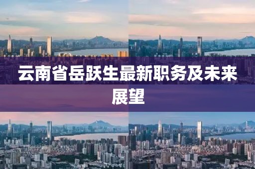 云南省岳躍生最新職務及未來展望